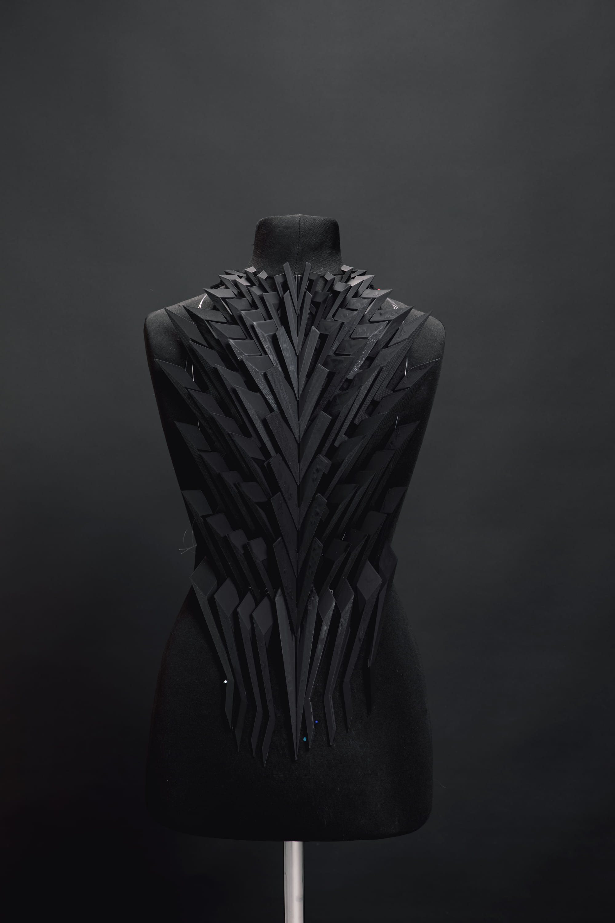 The armour worn, photographed from the front
