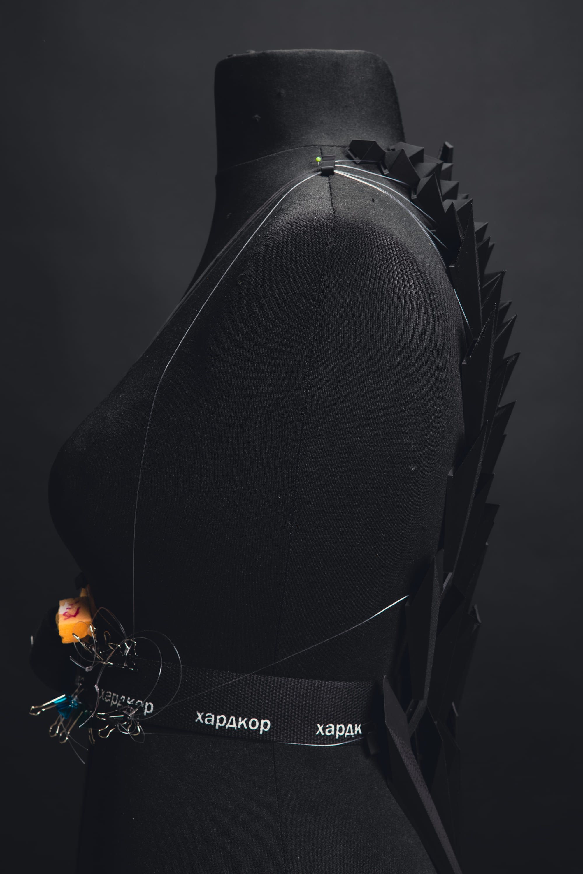 The armour photographed in profile