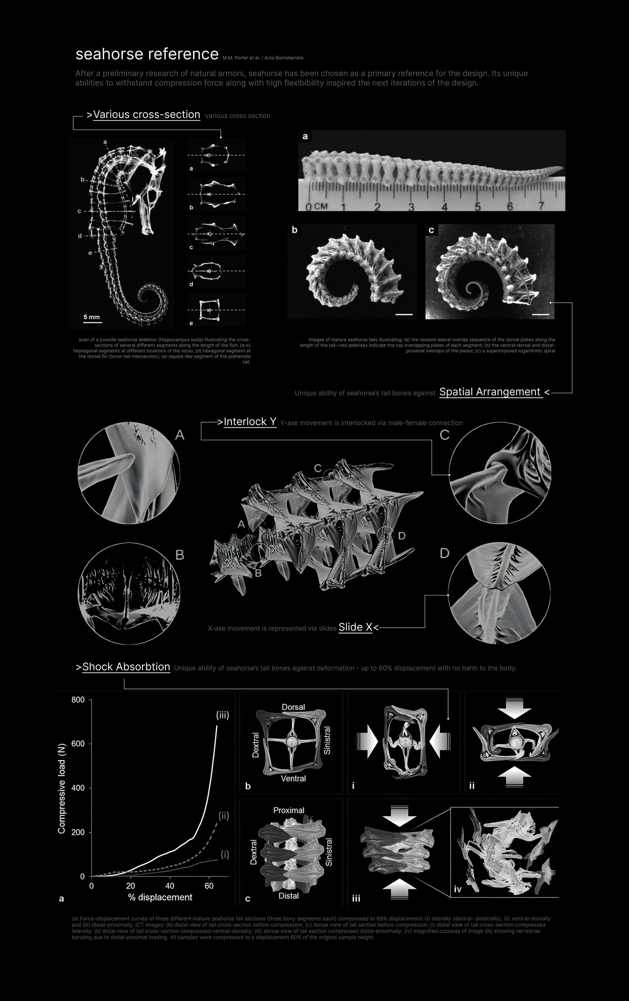 Research board on the seahorse's segmented exoskeleton