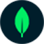 Logo of MongoDB Atlas Vector Search