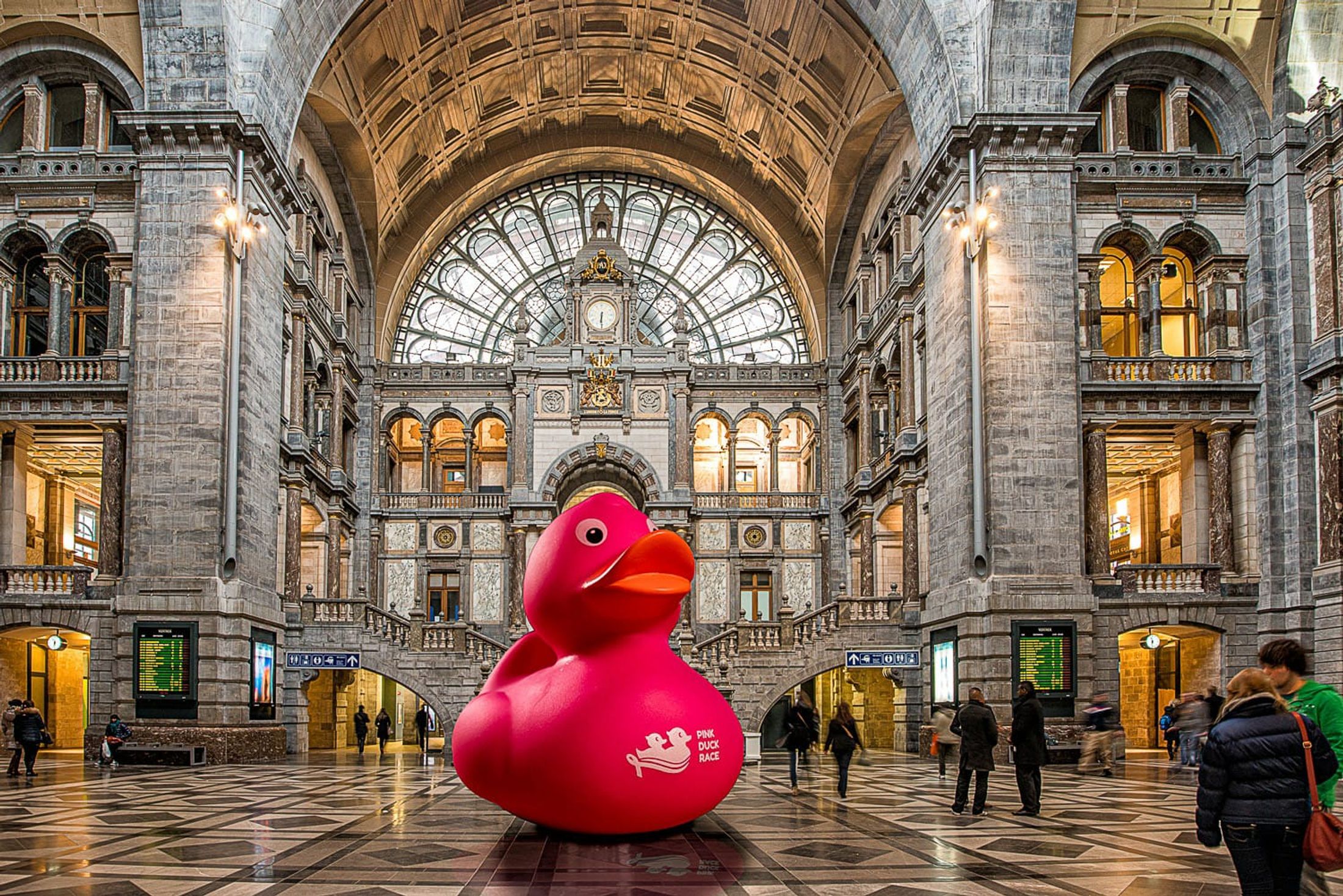 Pink Duck Race campaign visual for Think Pink Europe fundraising event