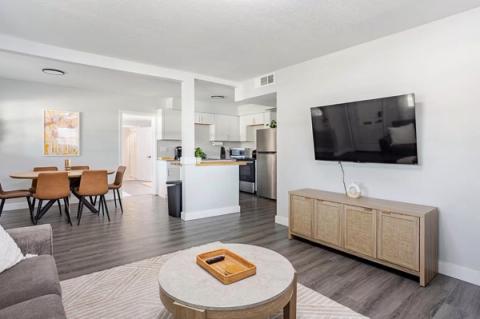 Spacious North Tampa 4/2, photo 3