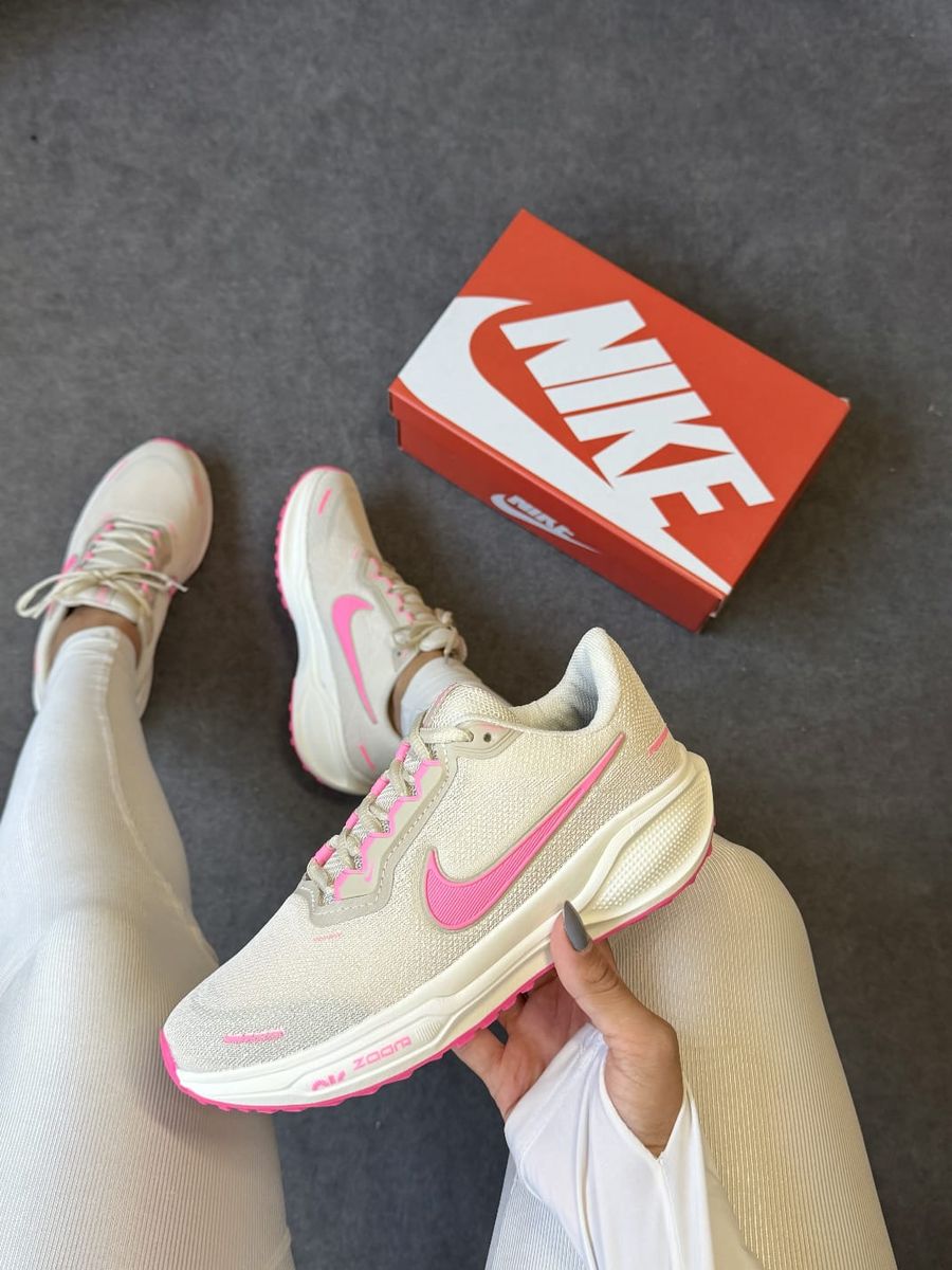 Pegasus 41