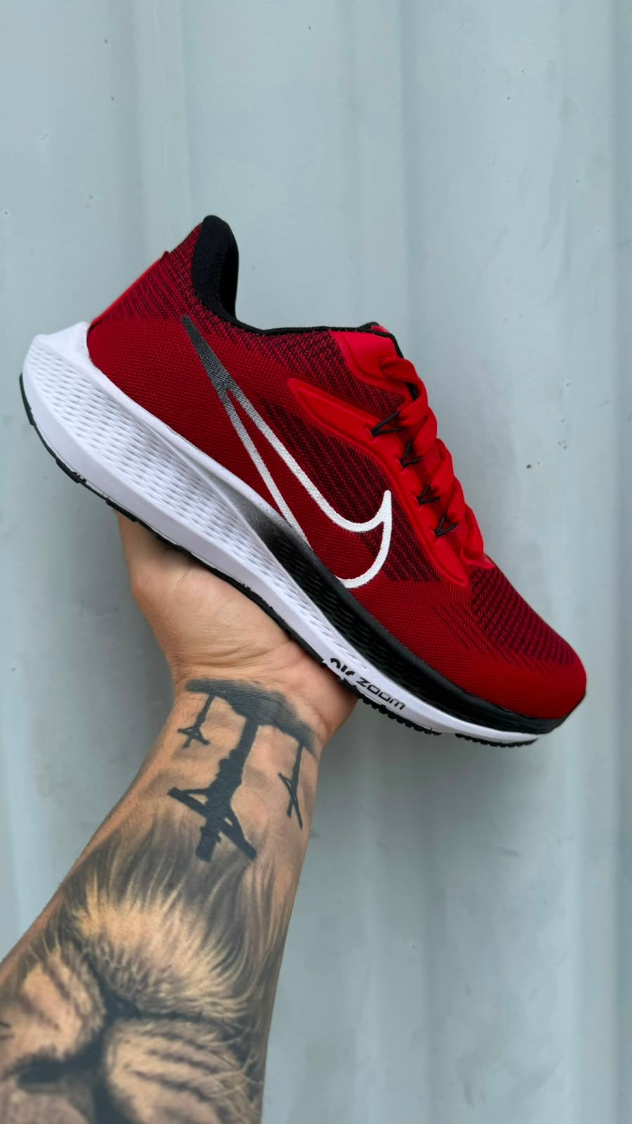 Pegasus 39