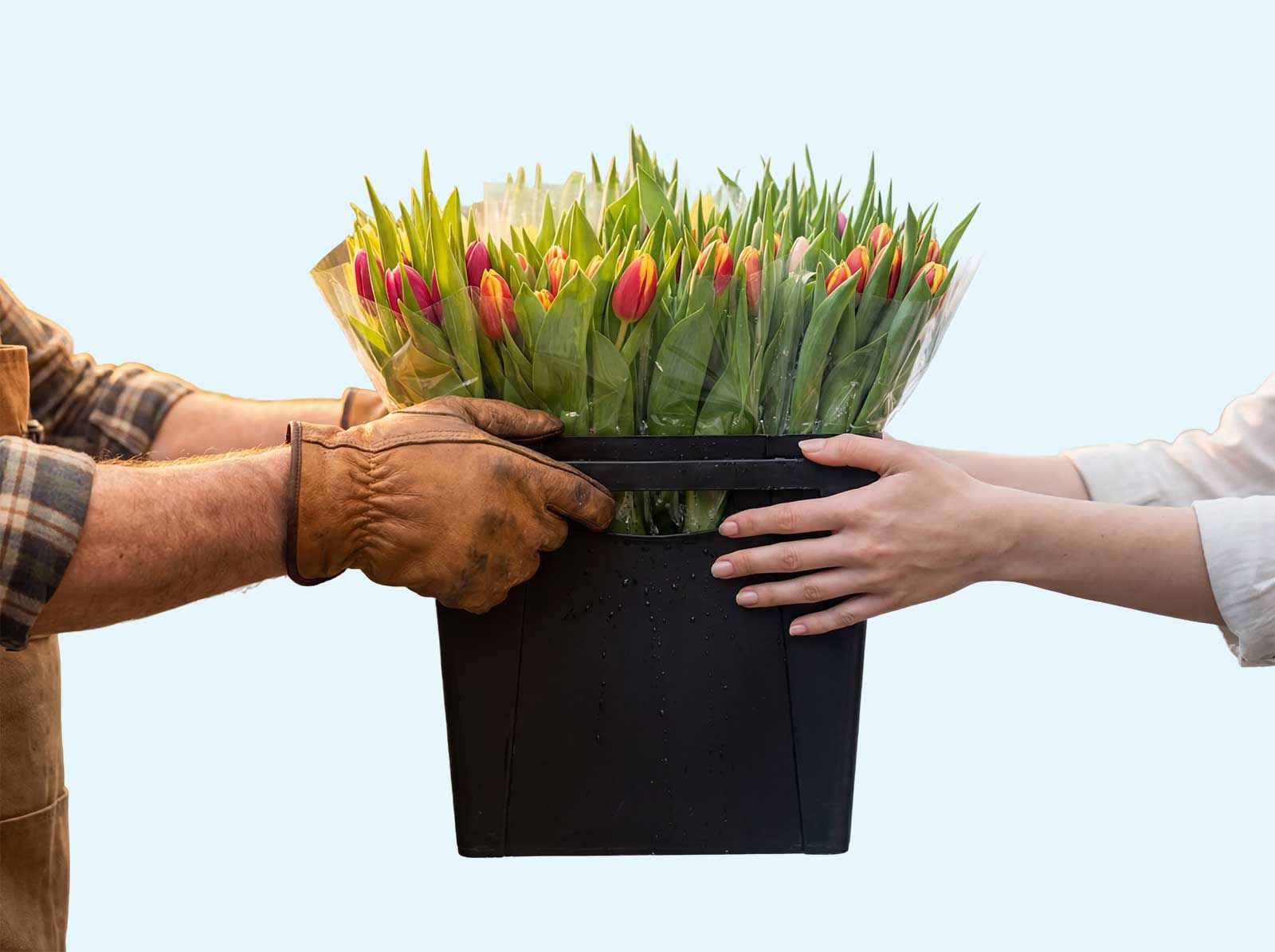 Afbeelding zonder ALT