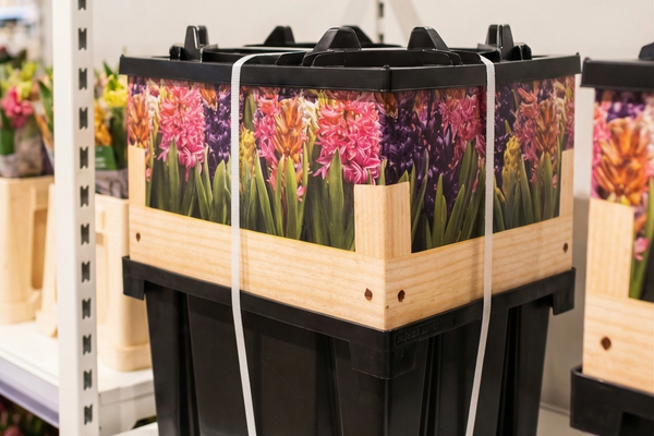 Retail Ready Packaging: How Supermarkets Are Revolutionizing Flower Sales