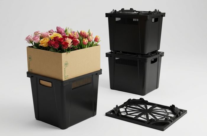 How to Use Procona: The Complete Visual Guide to Reusable Flower Buckets