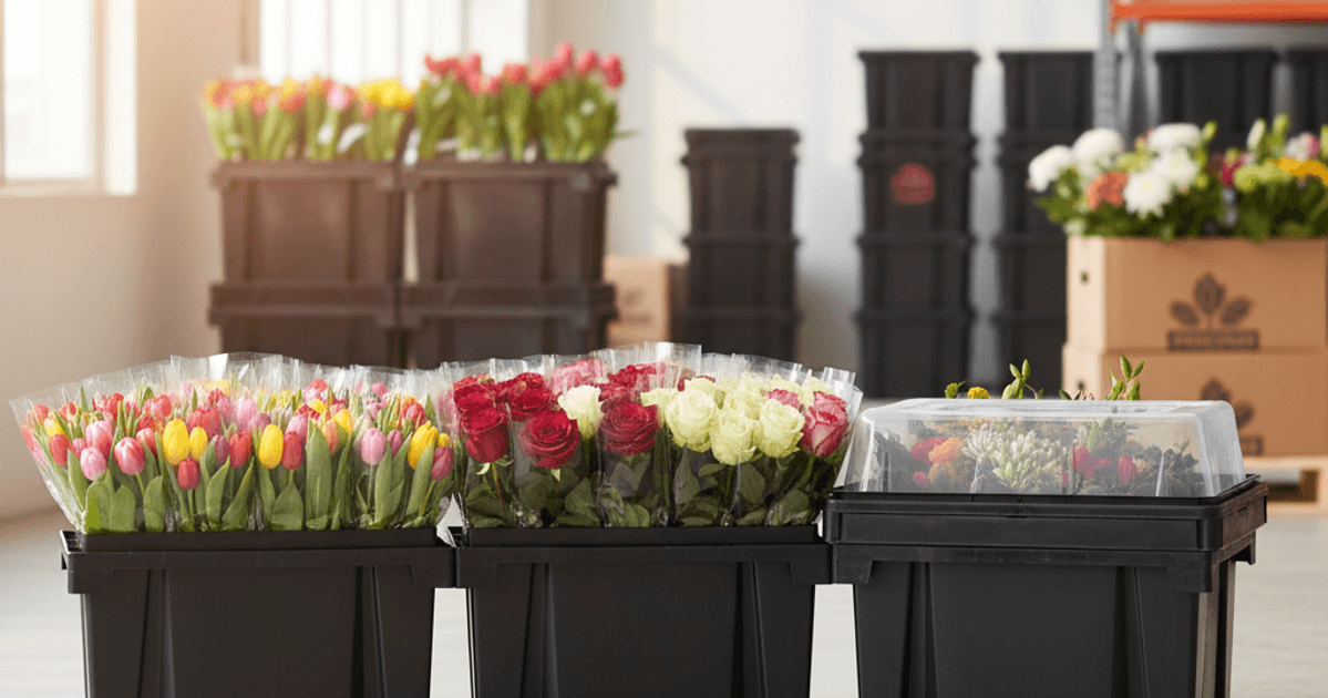 How to Use Procona: The Complete Visual Guide to Reusable Flower Buckets