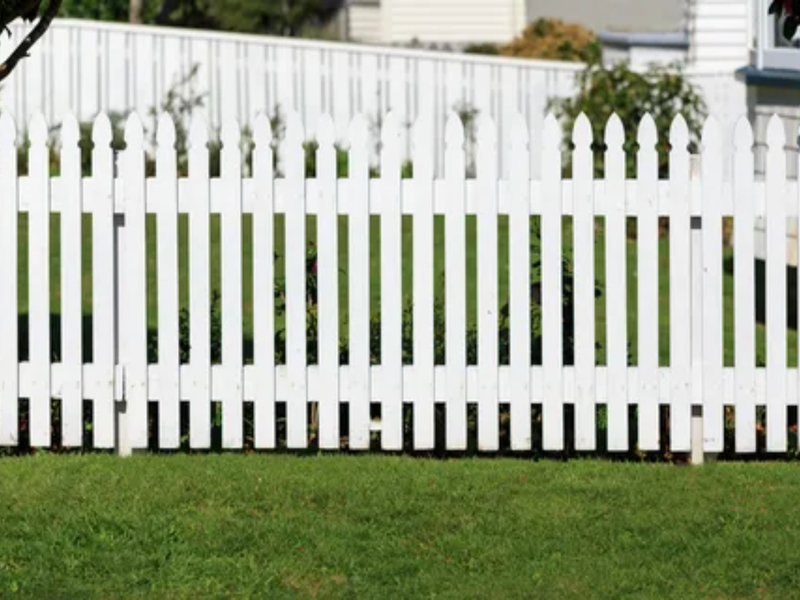 Chilliwack Backyard Studio — Backyard Studio by CoreVal Homes in Metro Vancouver