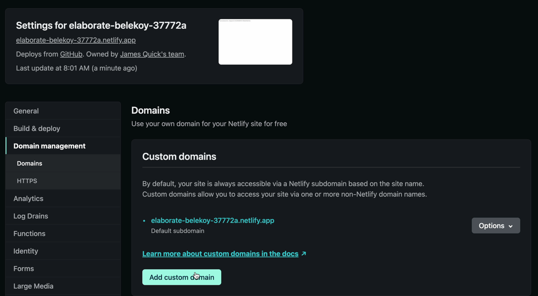 Add Netlify Custom Domain Button
