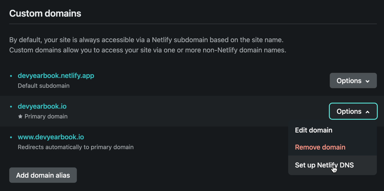 Setup Netlify DNS