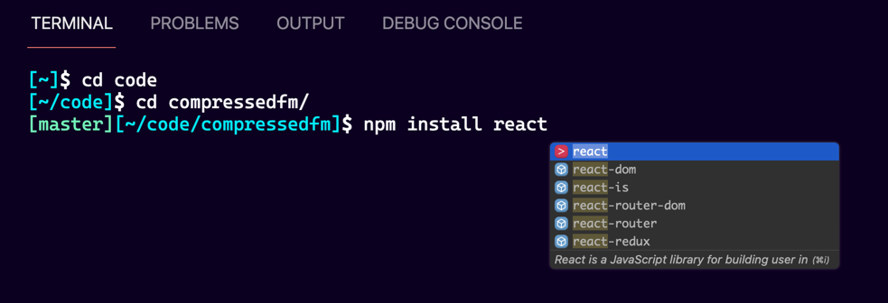 NPM Install Command