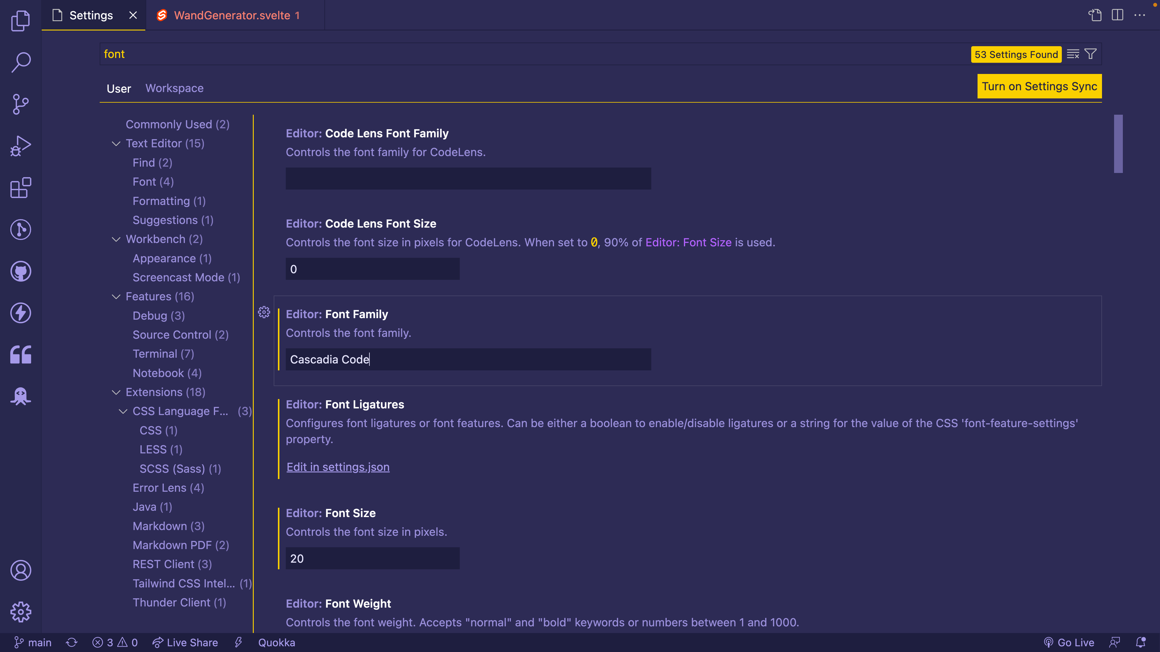 VS Code settings for font family