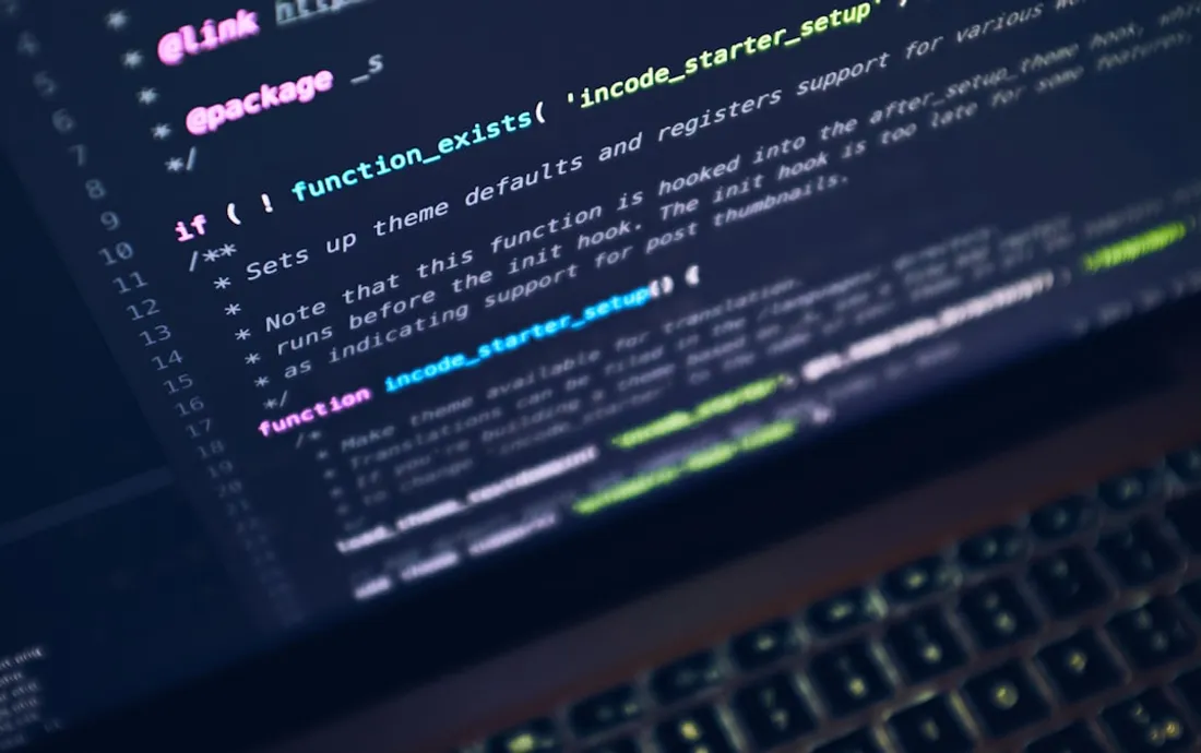 Software development