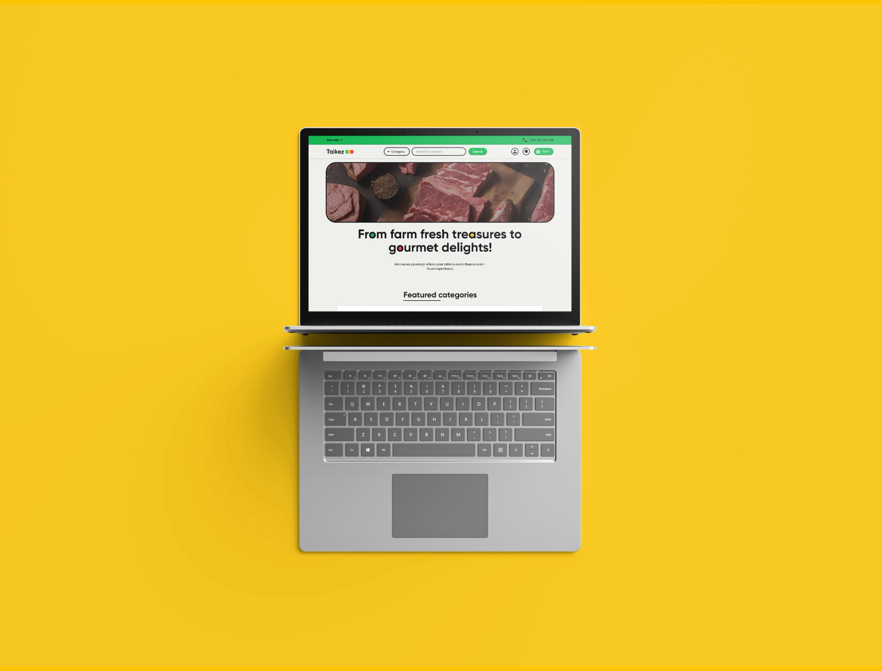 Website showcase 1