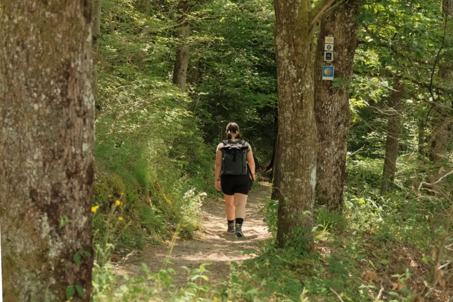 Persoon die over een smal pad door het bos loopt