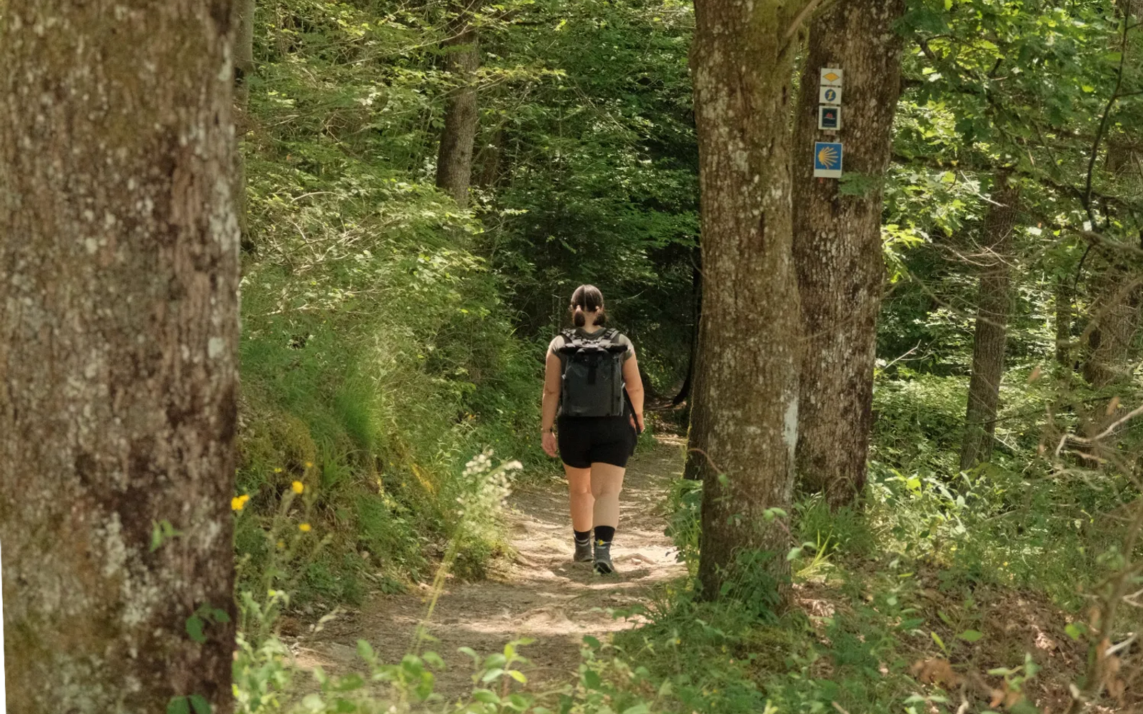 Persoon die over een smal pad door het bos loopt