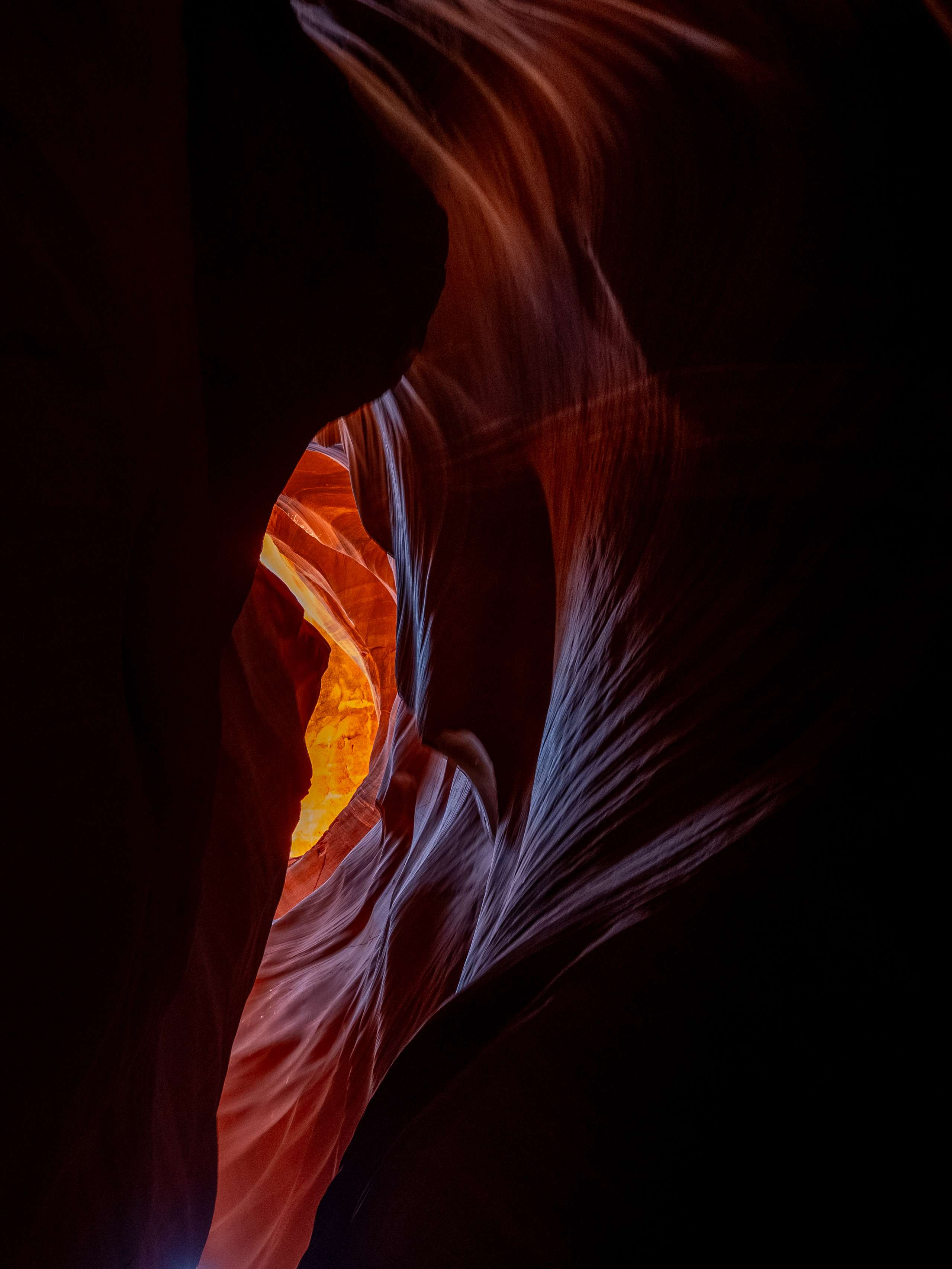 Desert Life 06