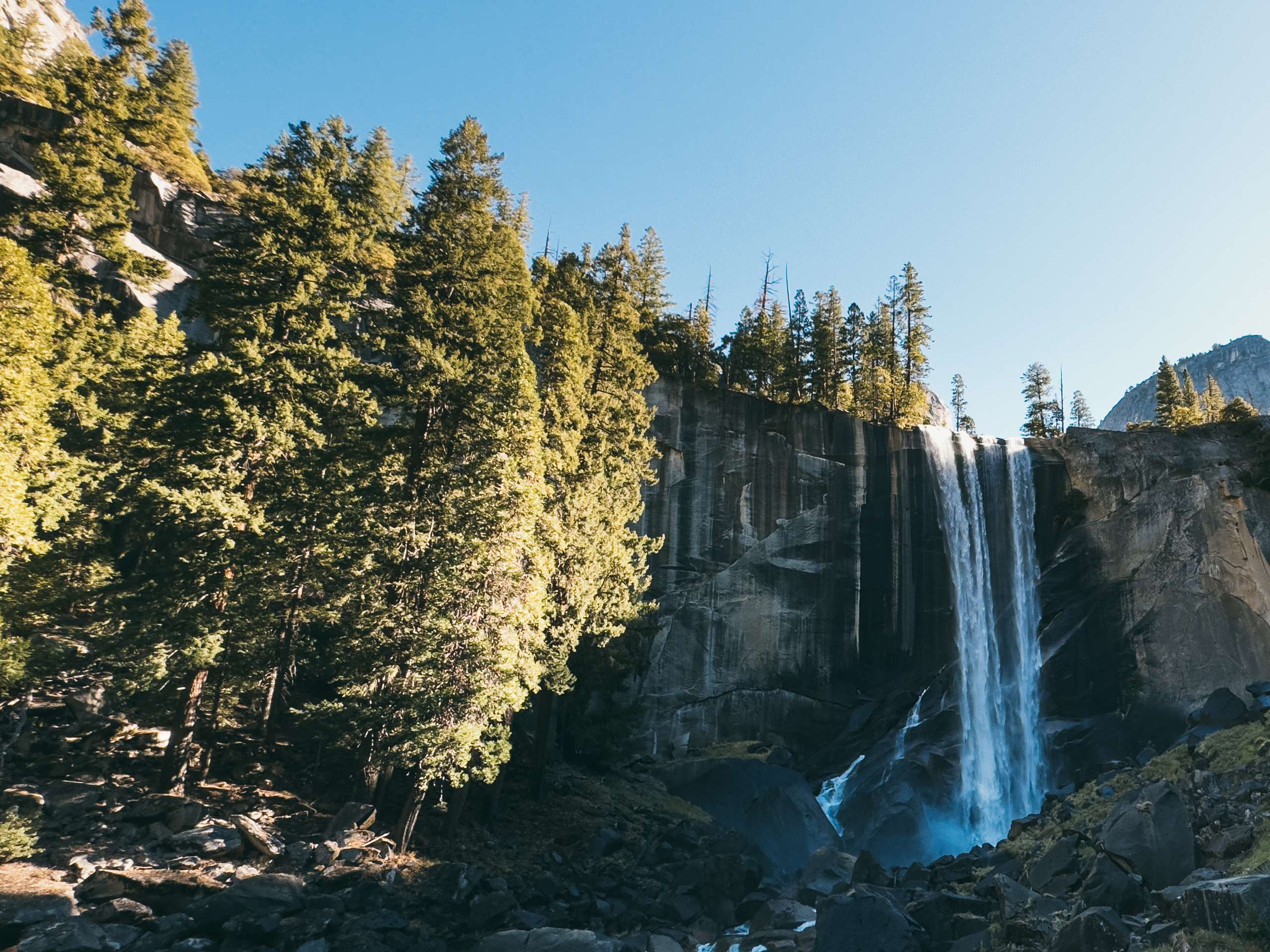 Yosemite x Sequoia 06