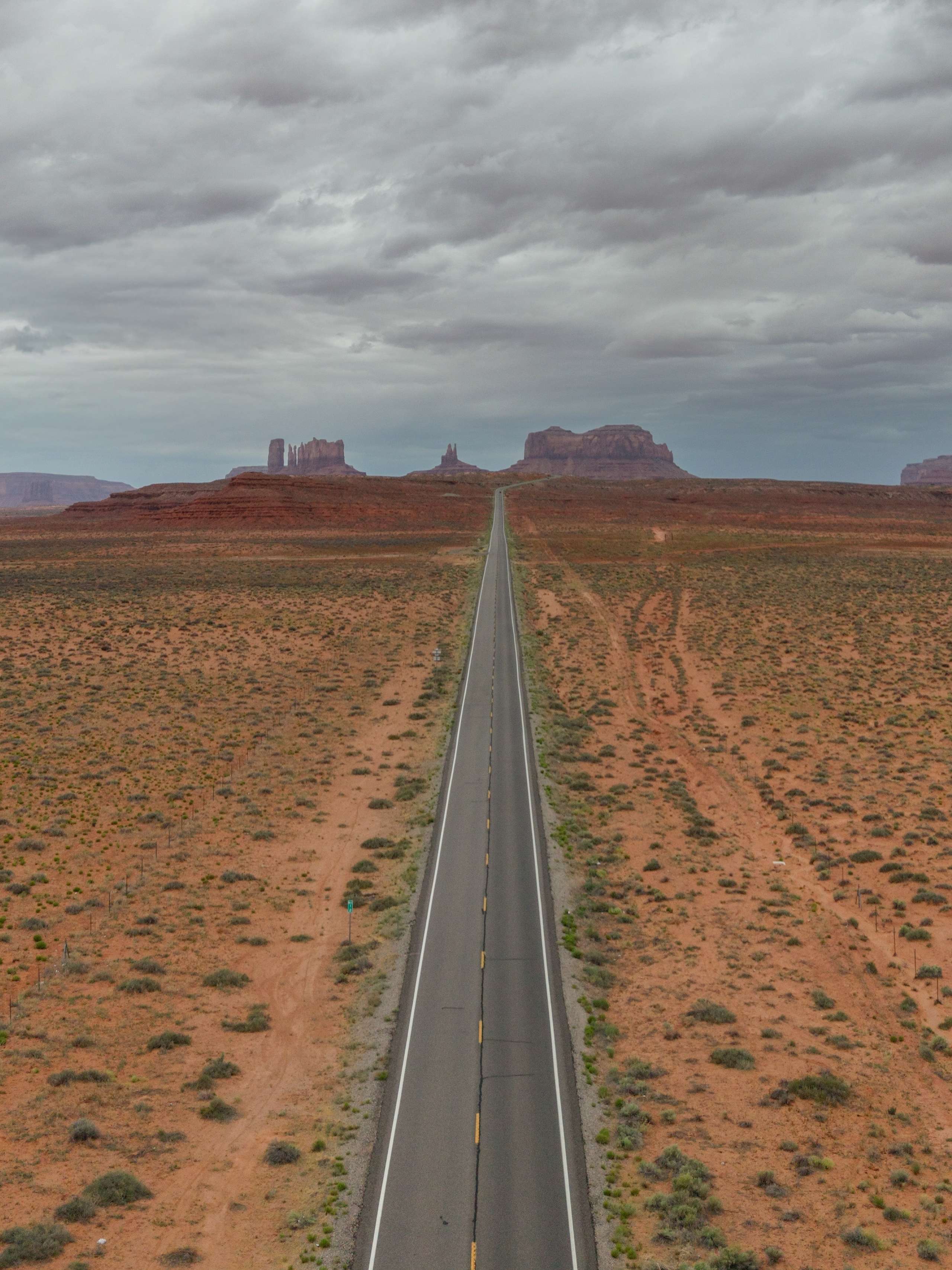 Desert Life 03