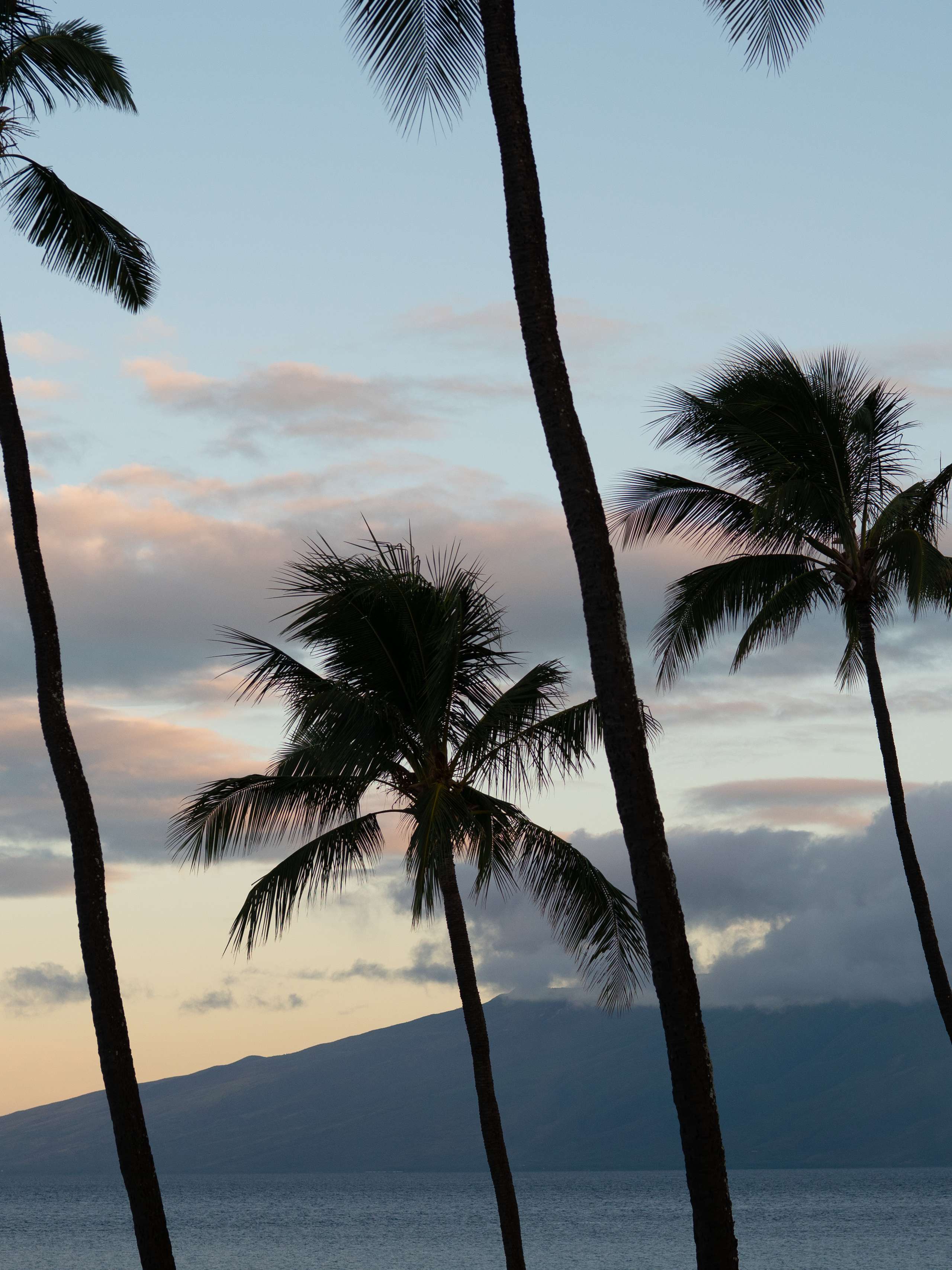 Hawaii 03