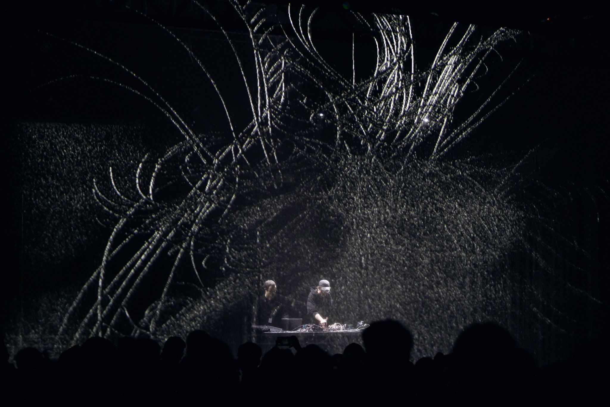 Traces (DBR × Cypha × Brigitte Podrasky × Joan Shin)