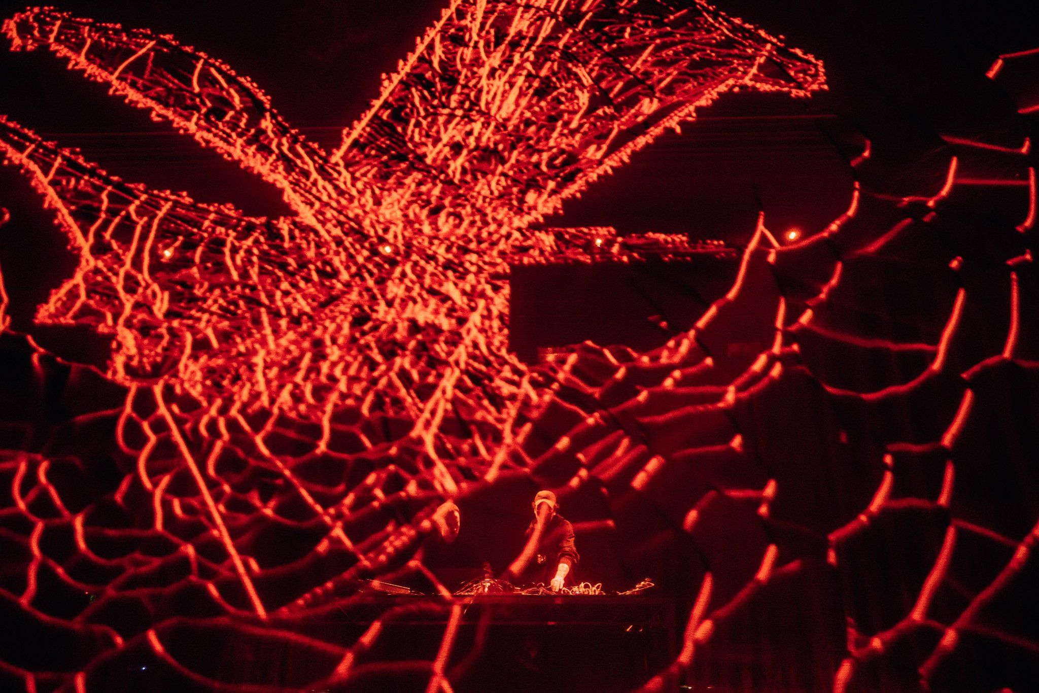 Traces (DBR × Cypha × Brigitte Podrasky × Joan Shin)