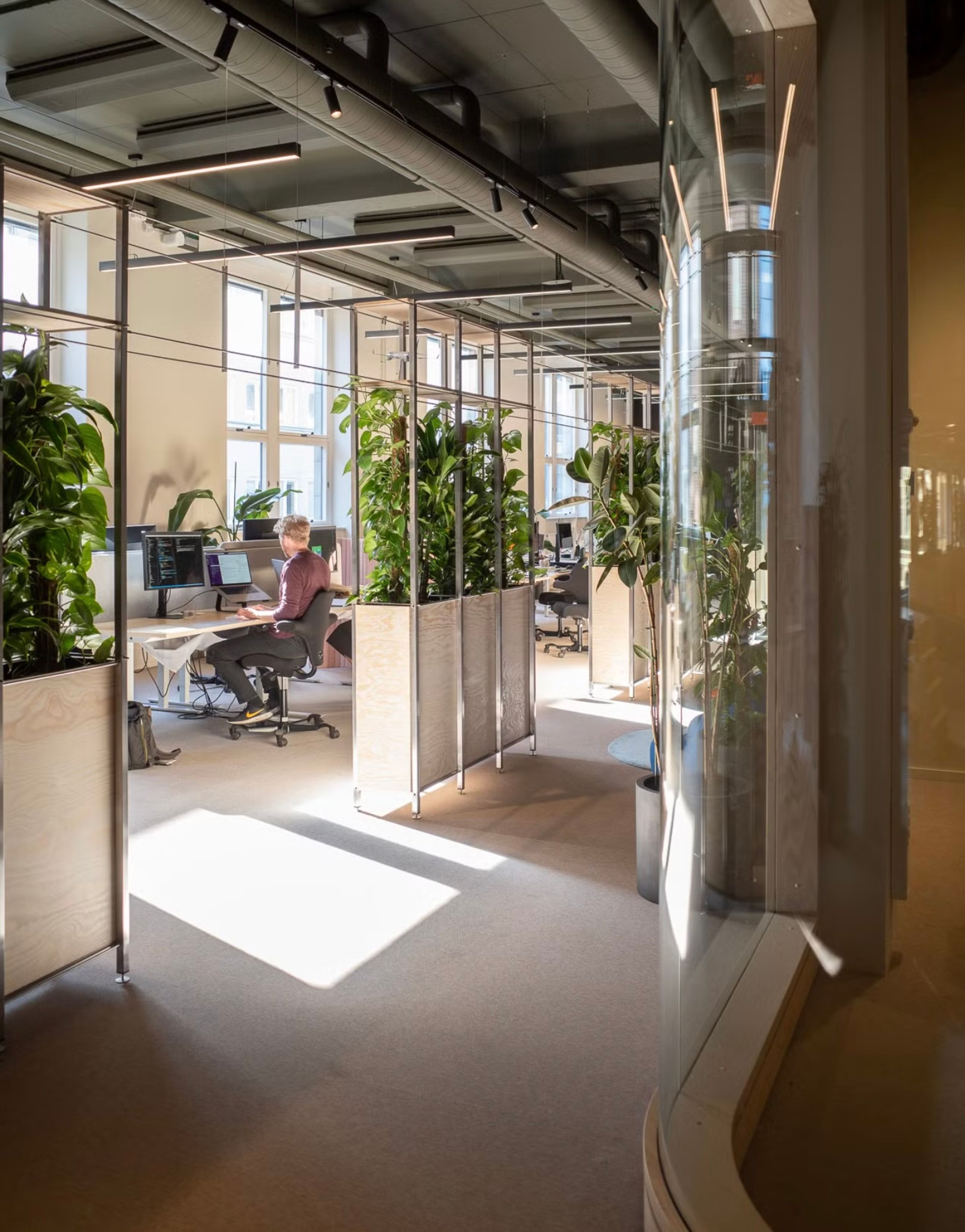 a man sits at a desk in an office surrounded by plants