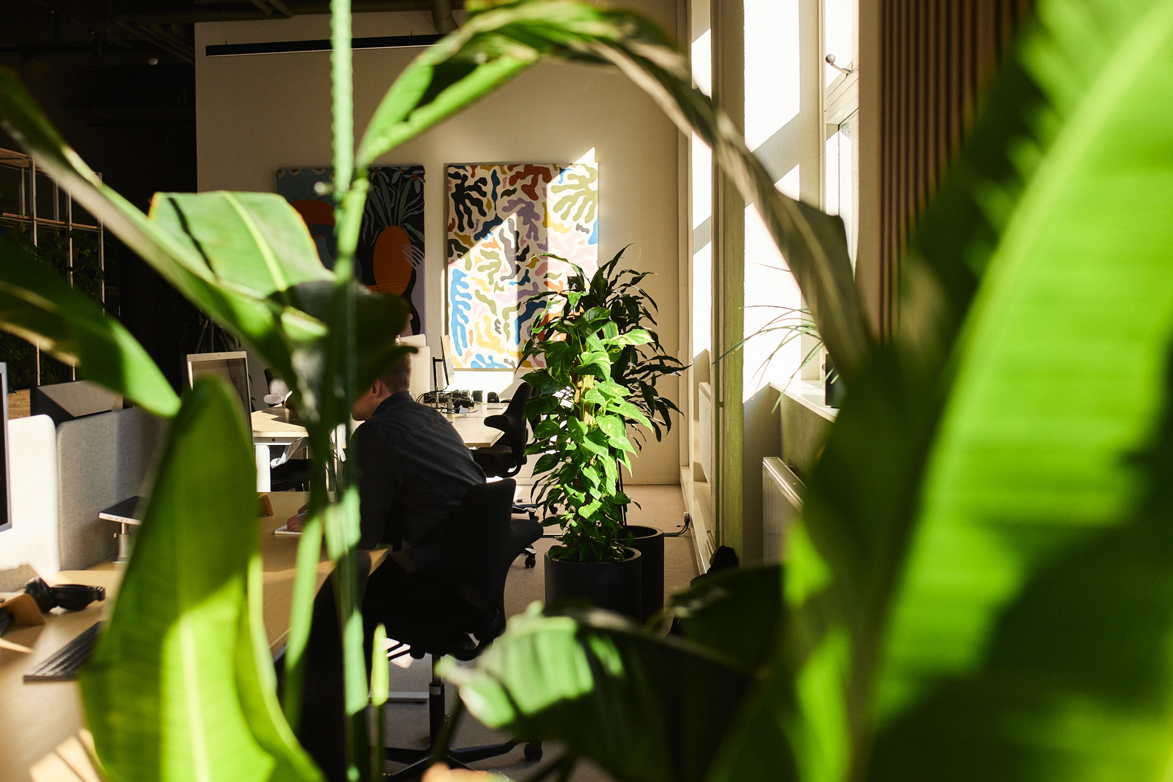 a man is sitting at a desk in an office surrounded by plants .