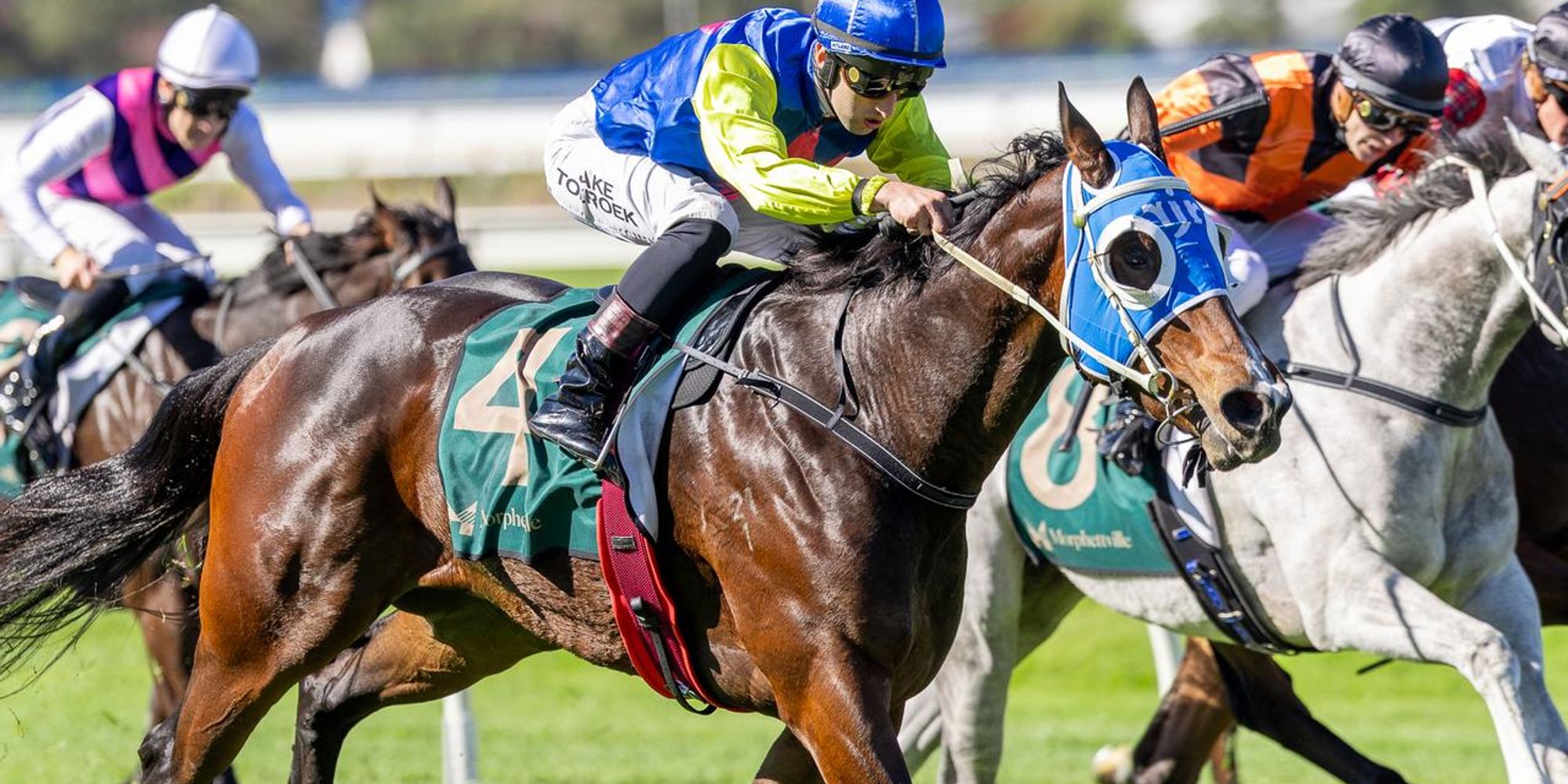 Squarely in Form: Filly Keeps Delivering