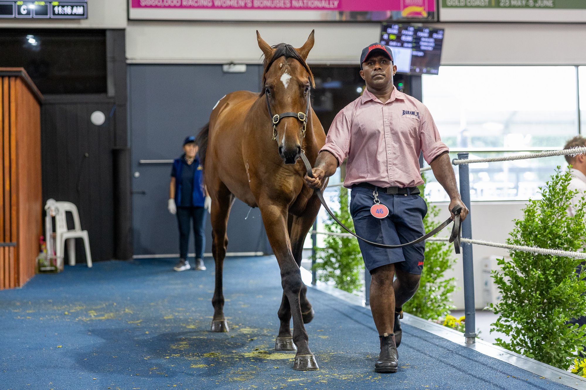 Ole Kirk x Kryptelon image 1