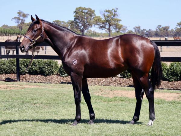 Dirty Work x Saxy Grace