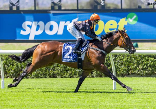 Nothing Ordinary Lives Up to Her Name