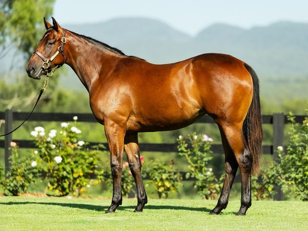 Super Seth x Social Distance