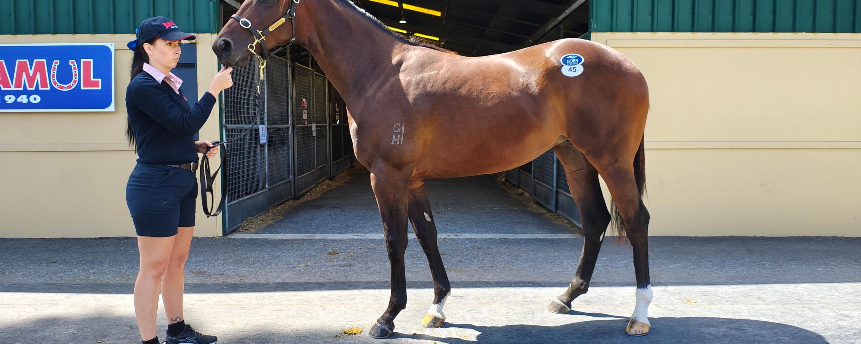 Exceedance x No Clothes On