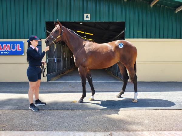 Exceedance x No Clothes On