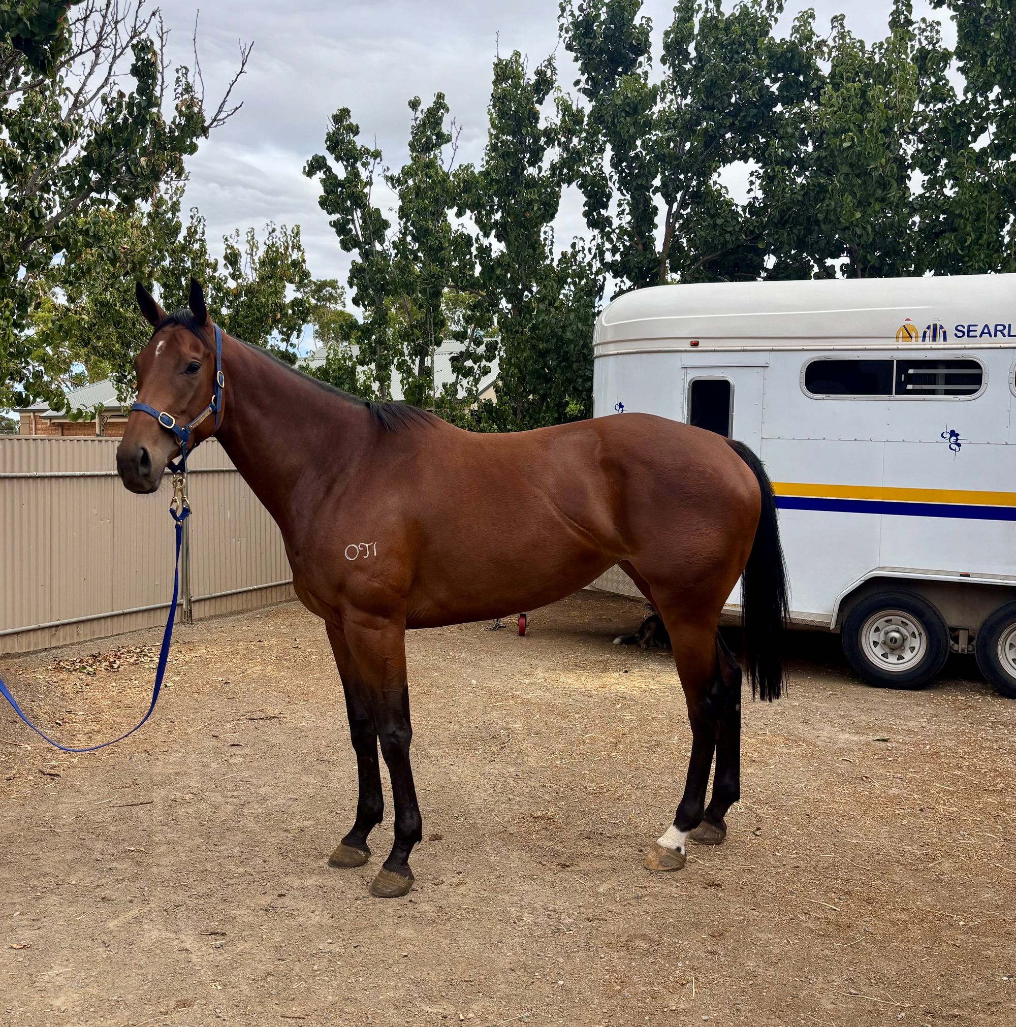 Valentia x Bluelake image 1