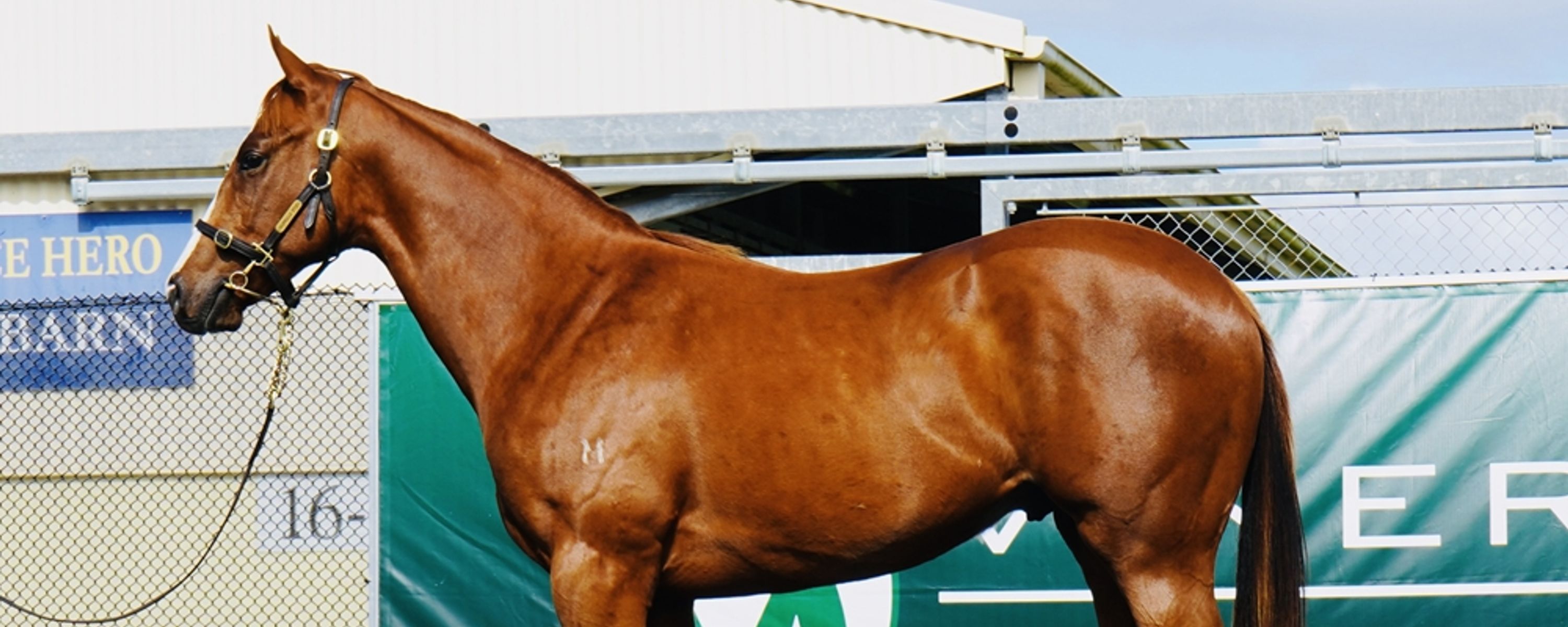 Anders x Last Eightyate