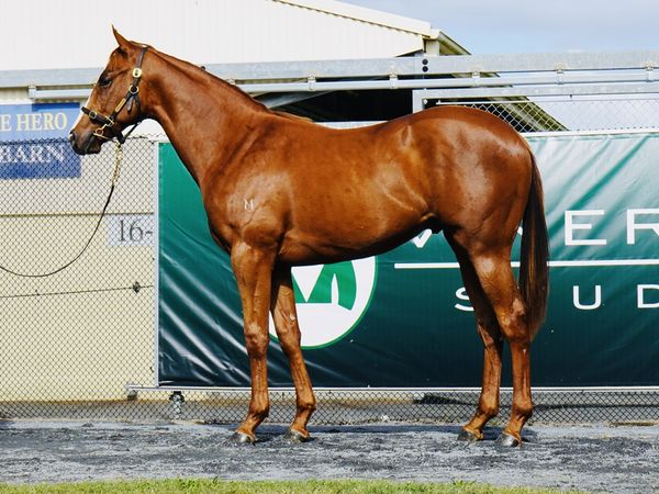 Anders x Last Eightyate