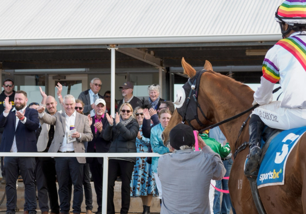 From $14k Bargain to Country Cups Contender