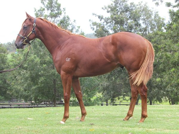 Anders x Scruitineer