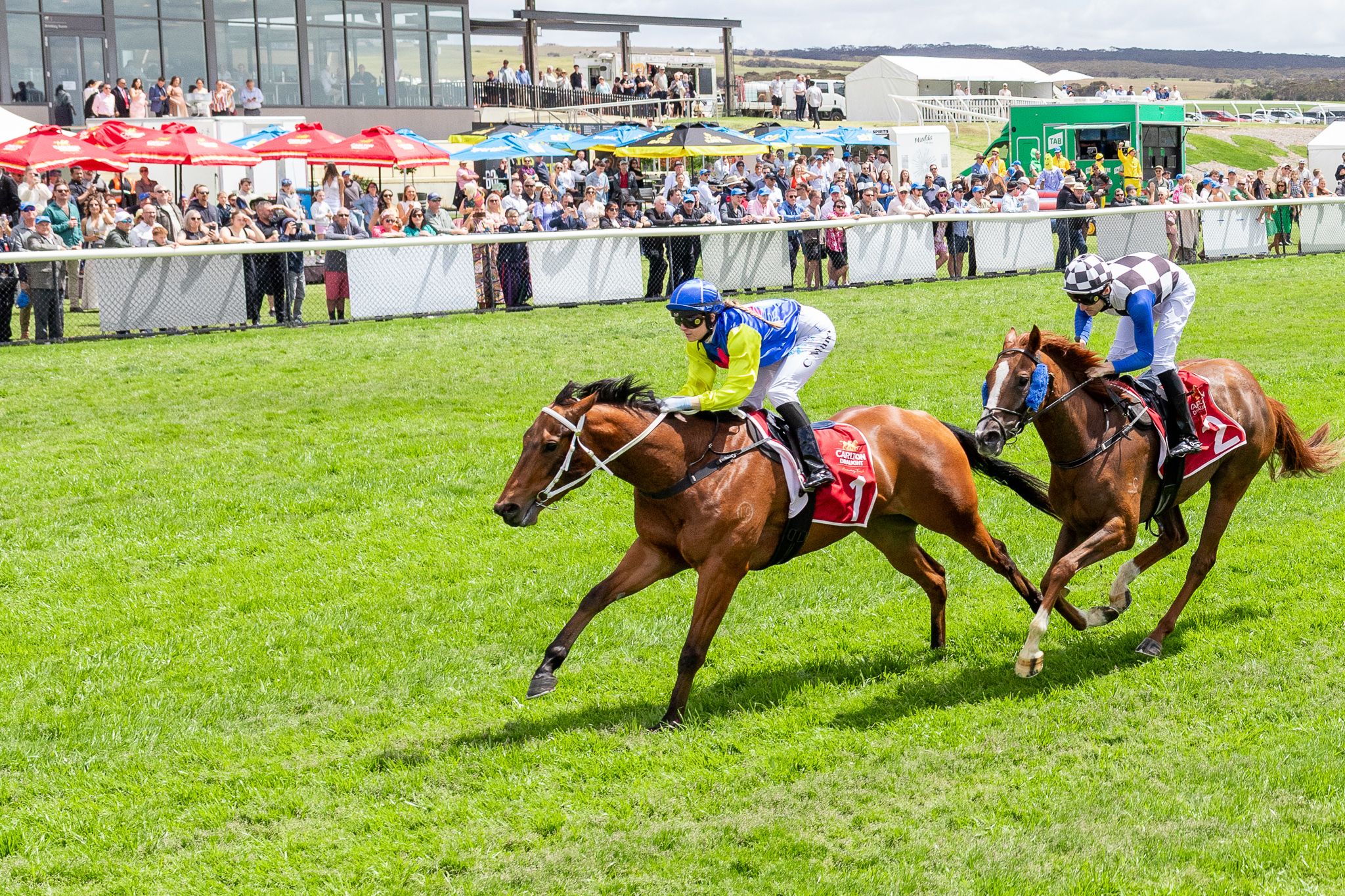 No Illusion: This Horse Has Talent