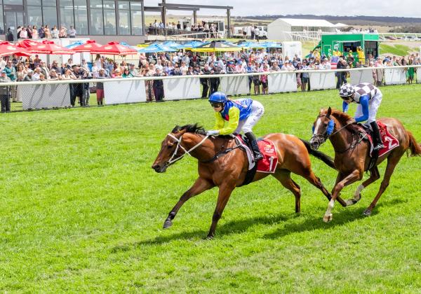 No Illusion: This Horse Has Talent
