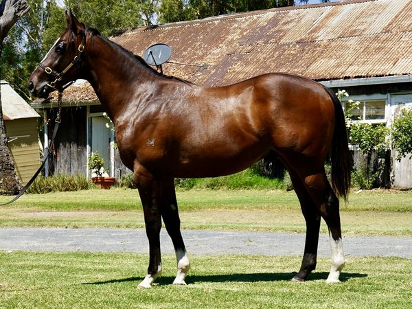 Prague x Libertine Miss