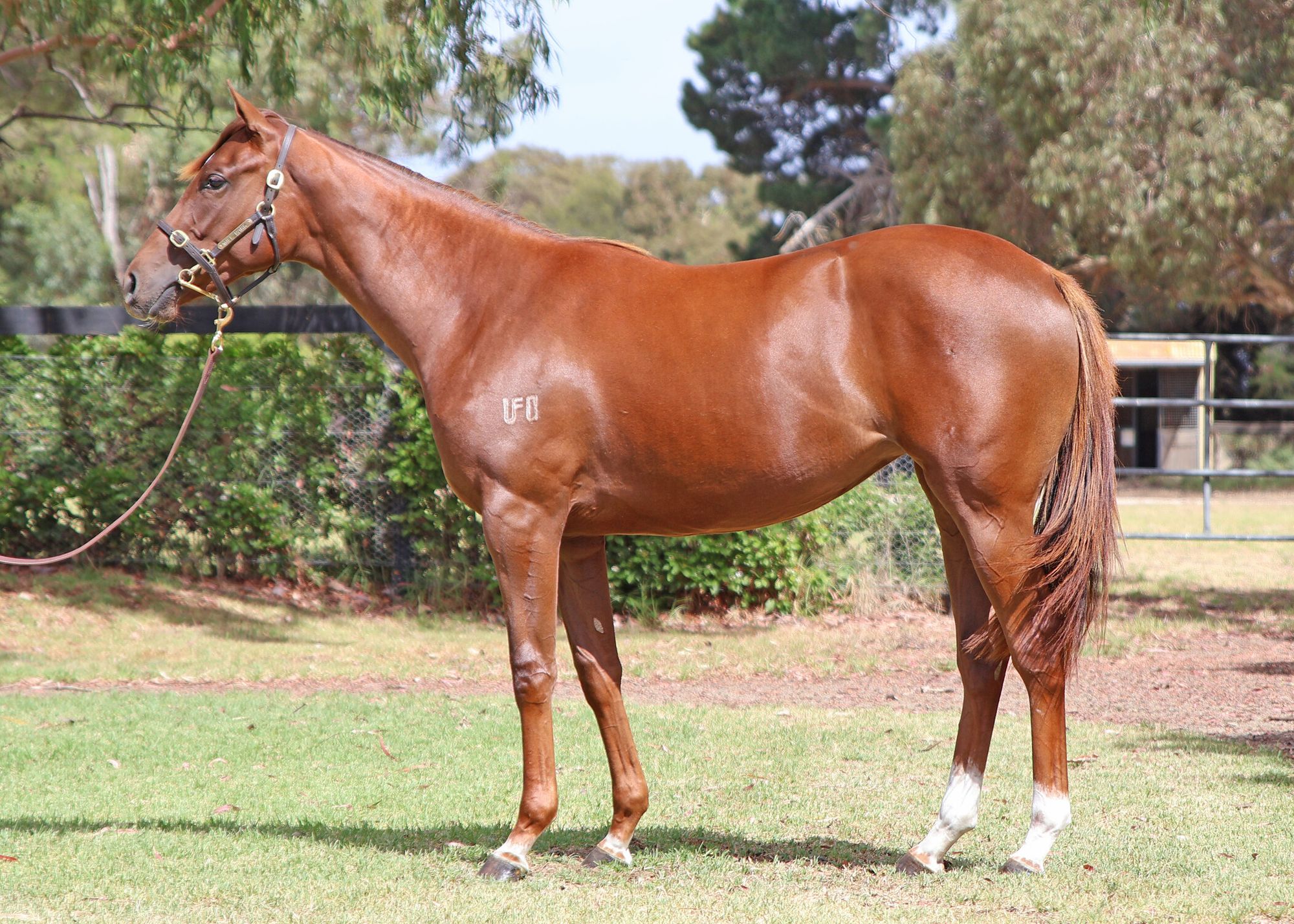 Harry Angel x Unbounded image 1