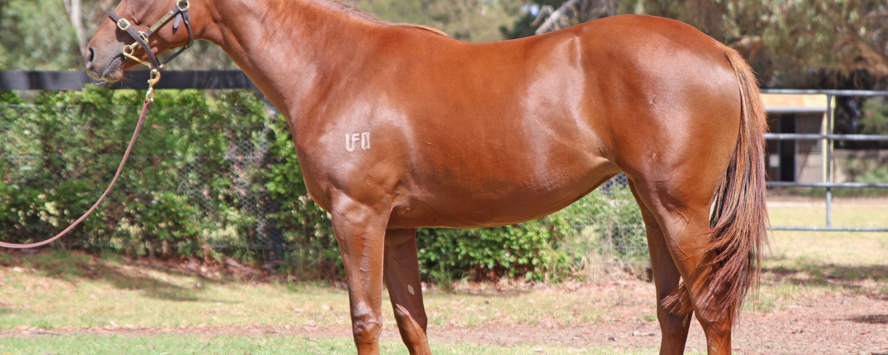 Harry Angel x Unbounded