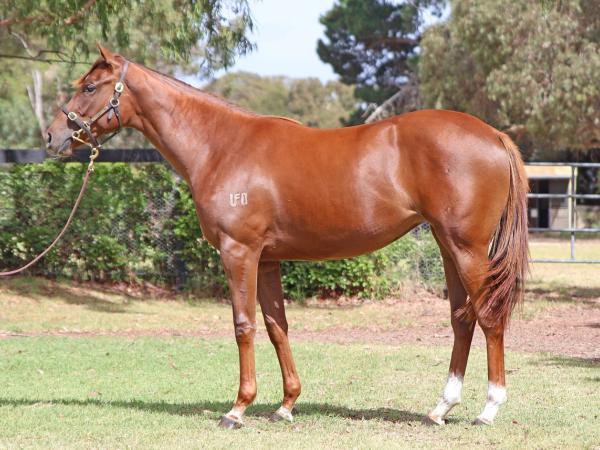 Harry Angel x Unbounded