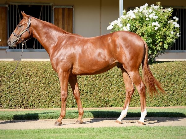 Lucky Vega x Just Like Fire