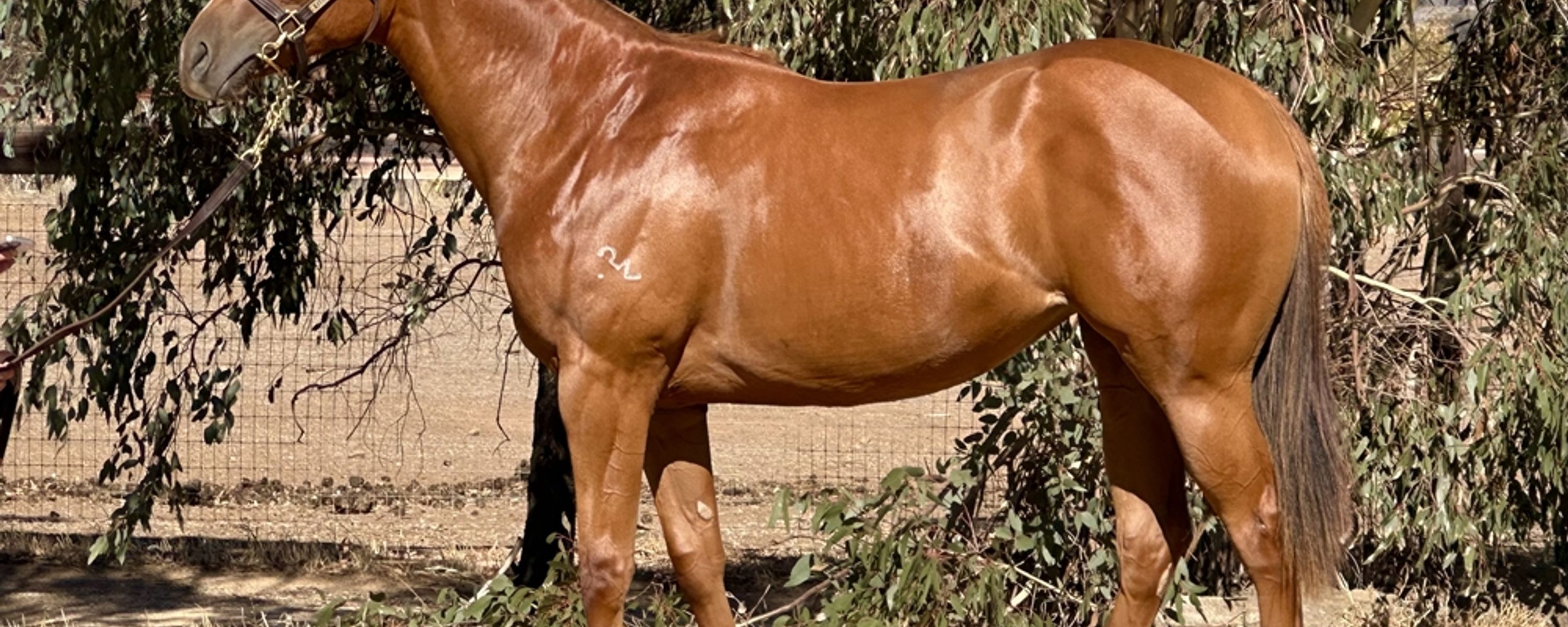 Written By x Excelamour