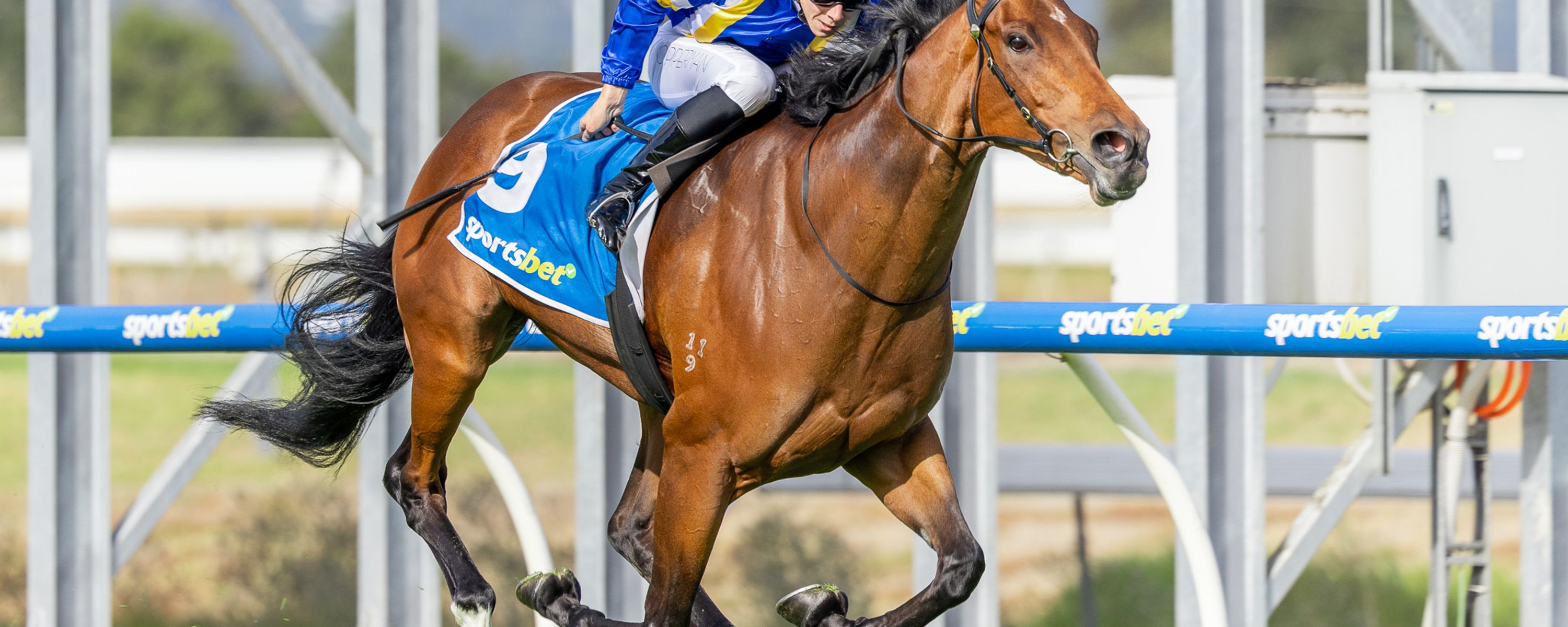 Searle Callanan Racing